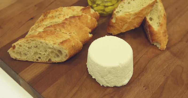 Ricotta maison rapide