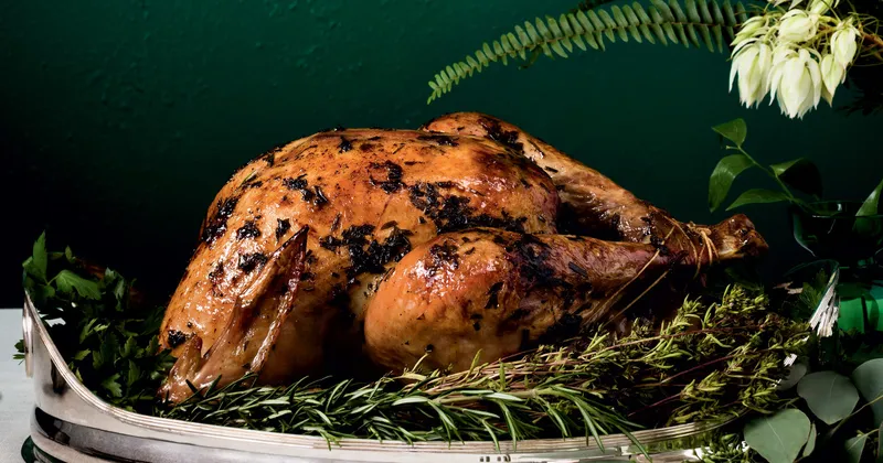 Dinde saumurée aux fines herbes