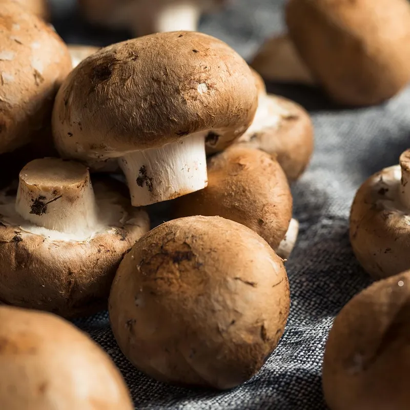 Rôti d’esturgeon aux champignons
